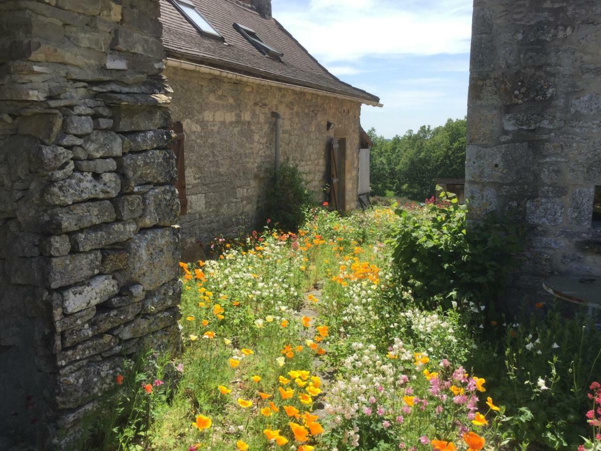 Les Gites Perard Caylus 외부 사진